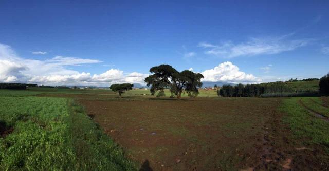 玩彩网·「中国区」官方网站