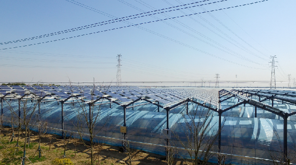 玩彩网·「中国区」官方网站