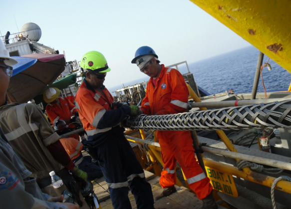 玩彩网·「中国区」官方网站