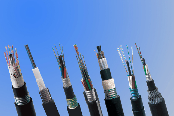 玩彩网·「中国区」官方网站