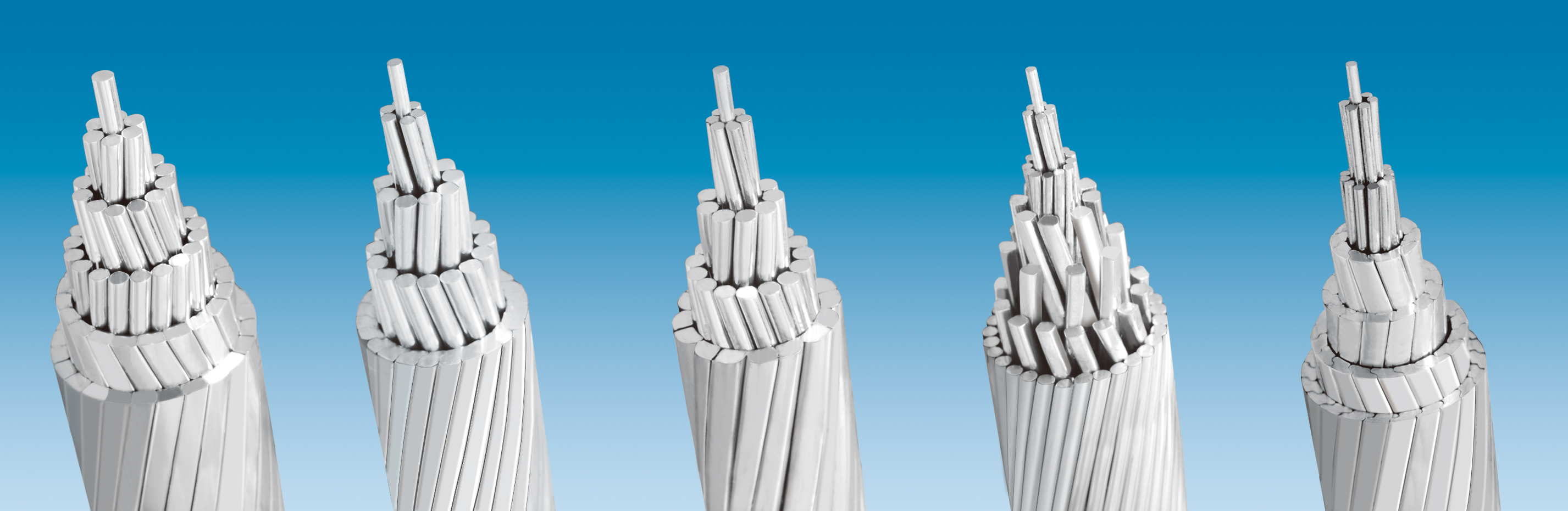 玩彩网·「中国区」官方网站