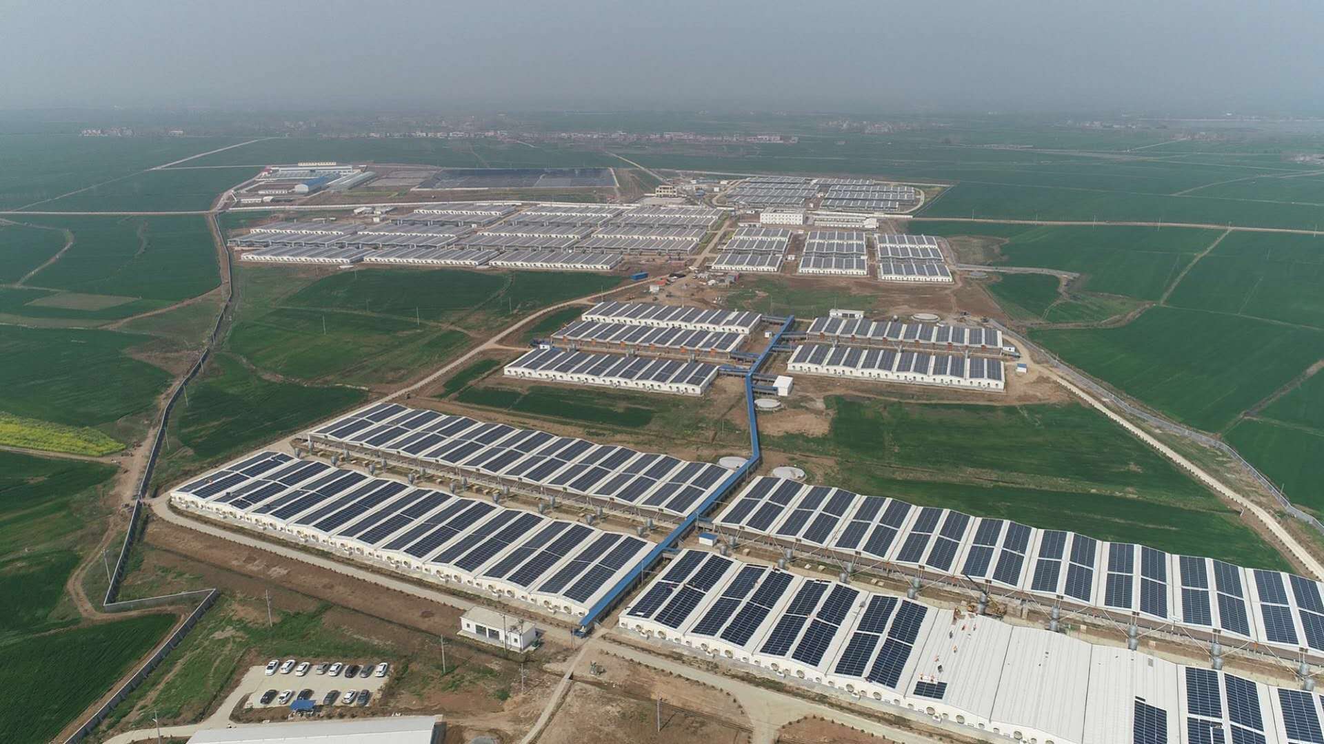 玩彩网·「中国区」官方网站