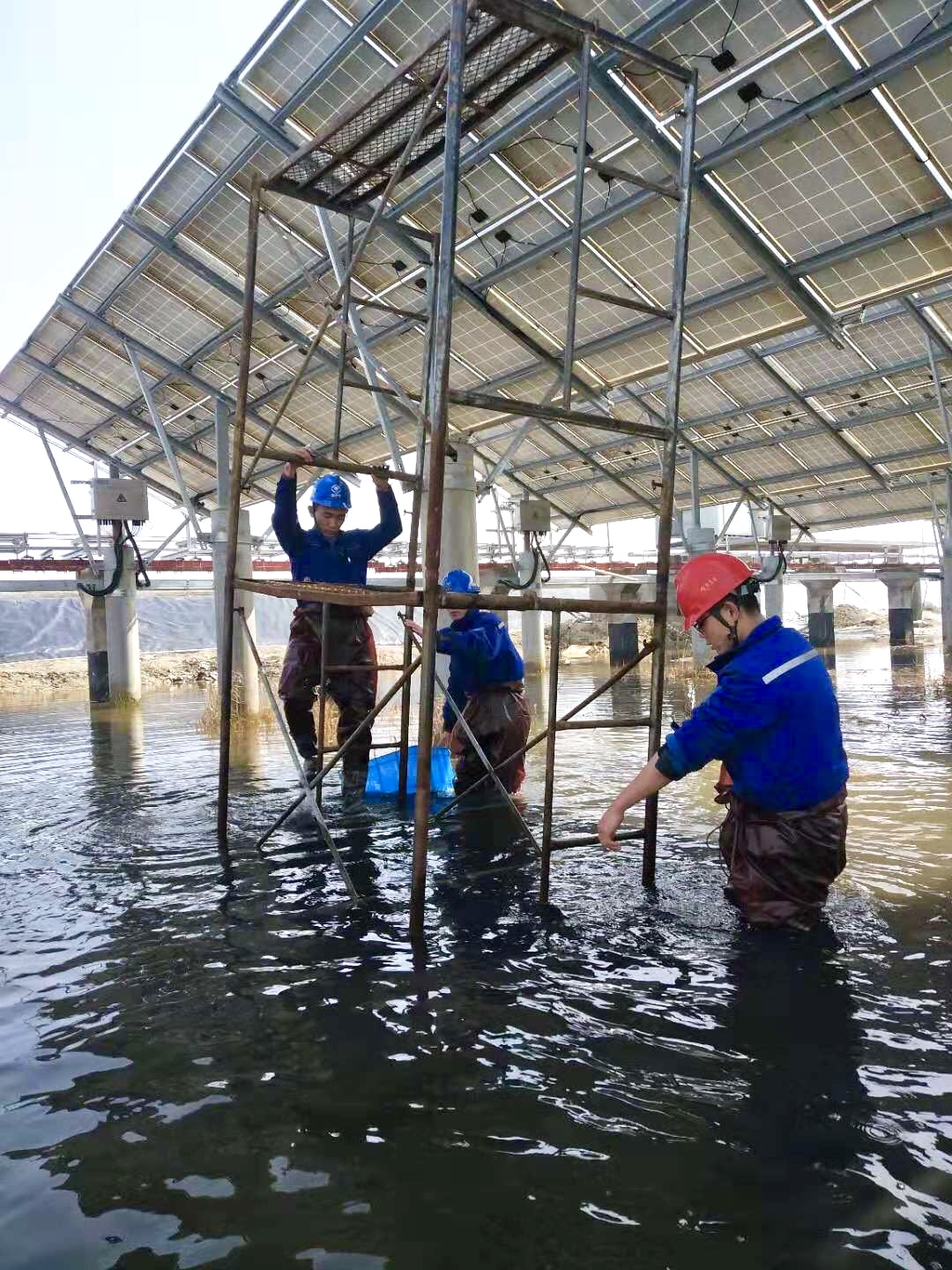玩彩网·「中国区」官方网站