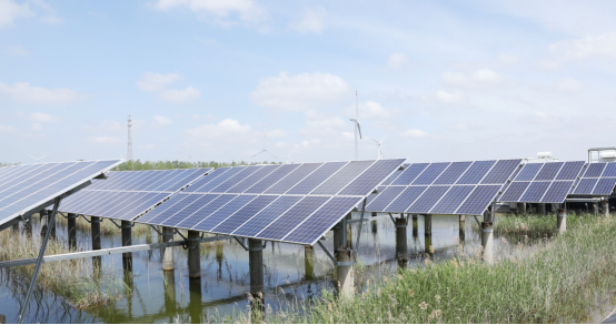 玩彩网·「中国区」官方网站