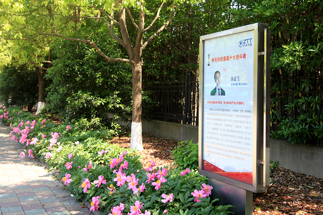 玩彩网·「中国区」官方网站