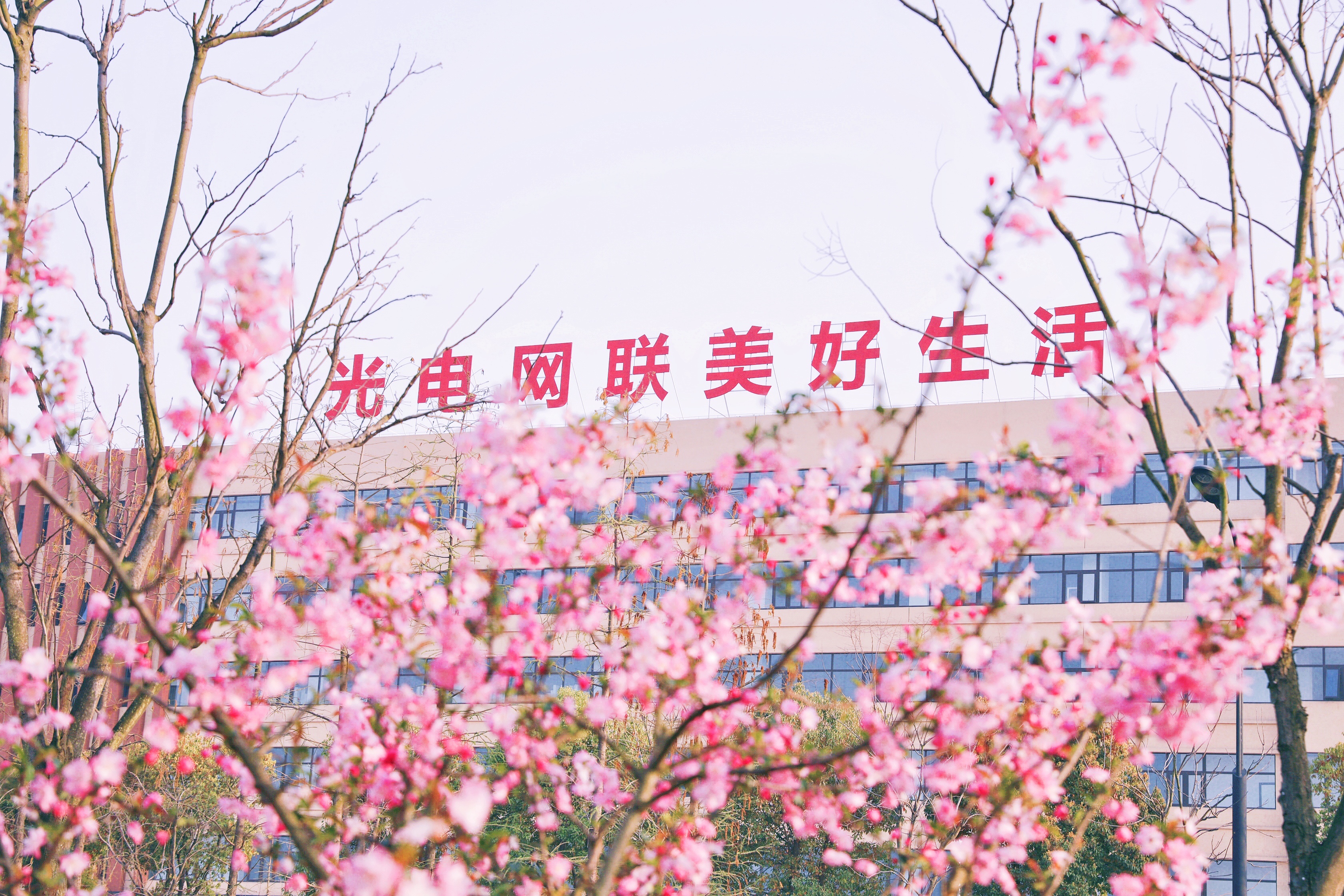 玩彩网·「中国区」官方网站