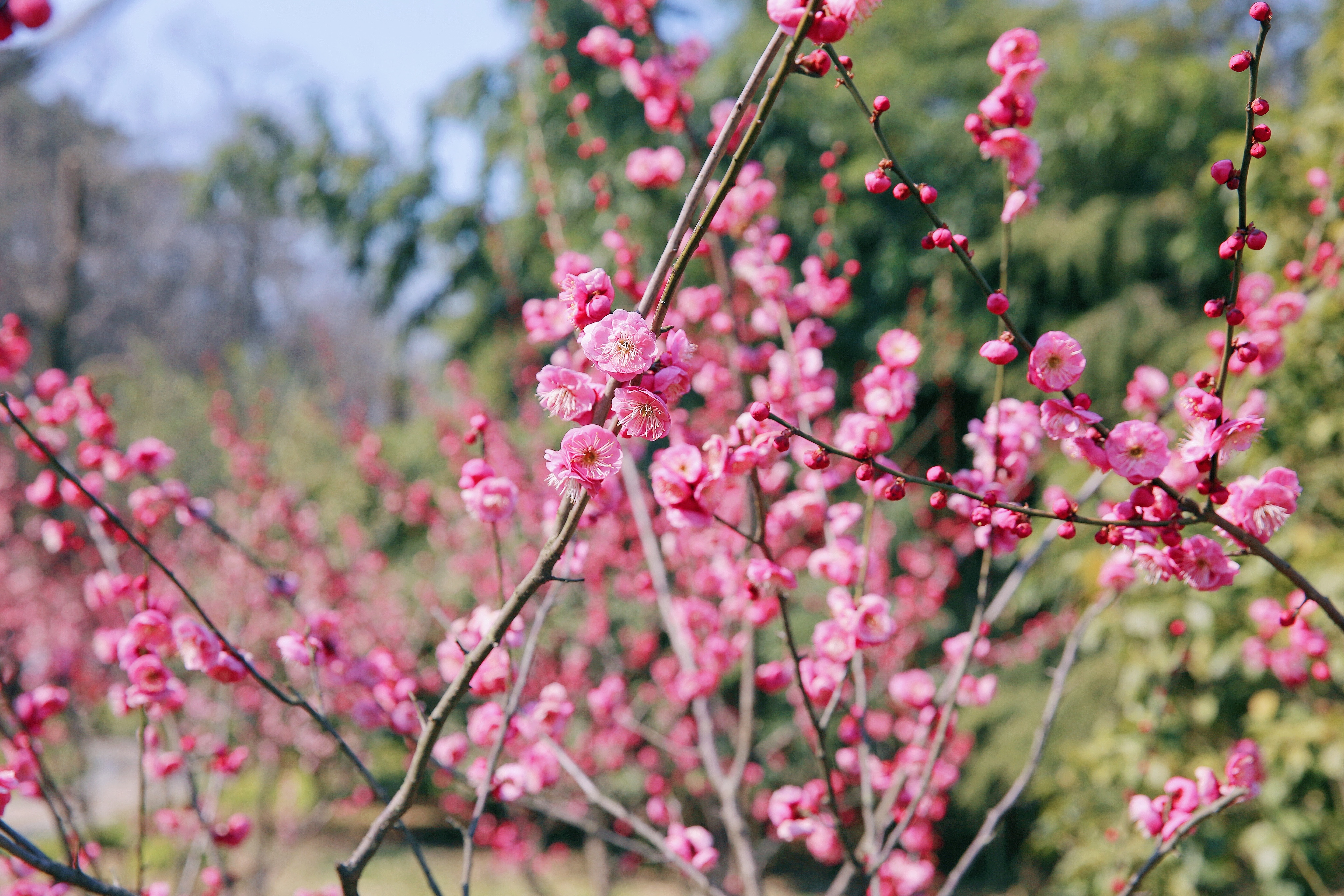玩彩网·「中国区」官方网站