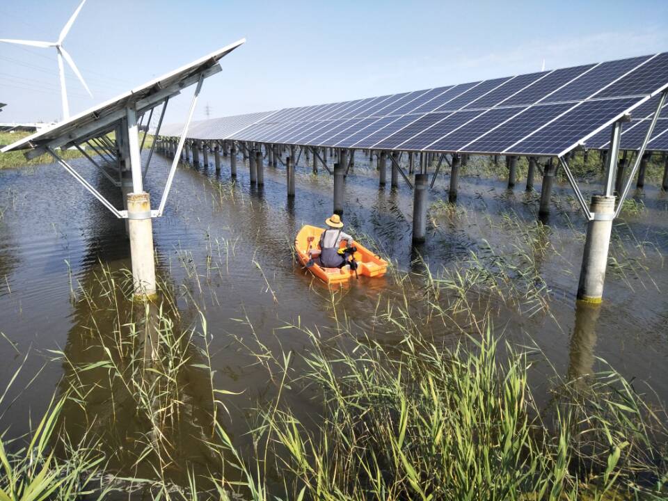 玩彩网·「中国区」官方网站