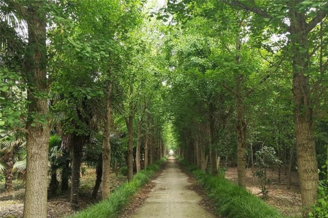 玩彩网·「中国区」官方网站