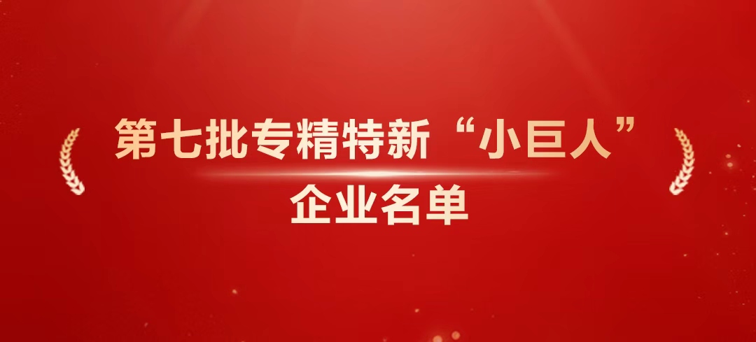 实力加码！玩彩网科技新增5家国家级专精特新“小巨人”企业